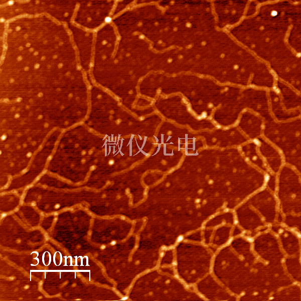 原子力顯微鏡的使用注意點(diǎn)